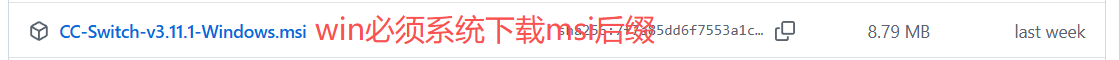Windows 安装包位置示意